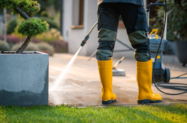 Best Roof Pressure Washing  in Angleton, TX